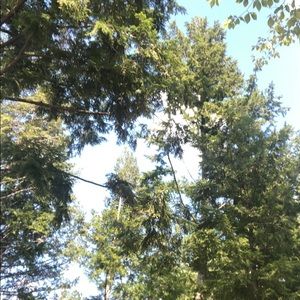 Meet your Posher, Caressa